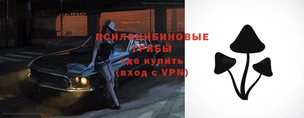 метадон Абаза