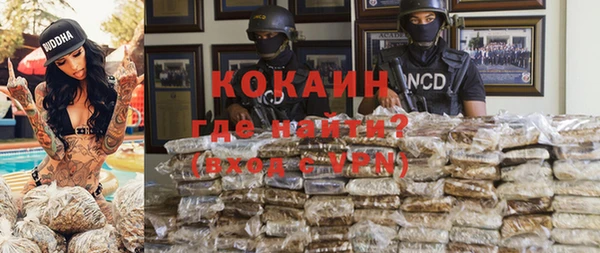 стафф Алексин