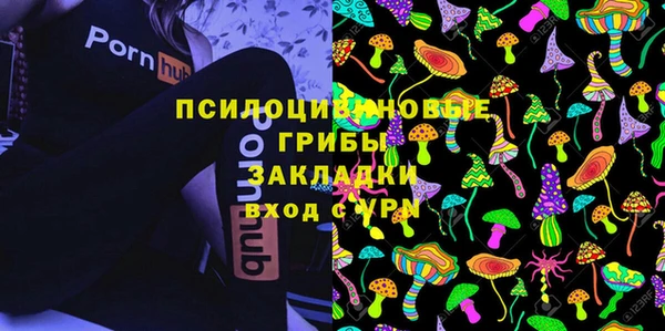 стафф Алексин