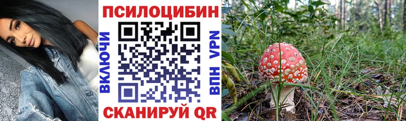 ОМГ ОМГ сайт  Ермолино  Галлюциногенные грибы Cubensis 