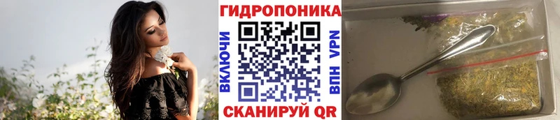 Бошки Шишки марихуана  где купить наркотик  kraken как войти  Ермолино 